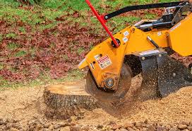 Leaf Removal in Rawlins, WY